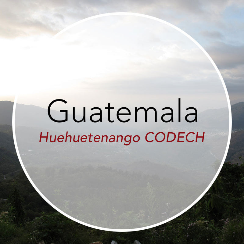 Newest Offering: Guatemala Huehuetenango CODECH
