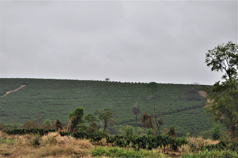 Contact us Copper Door Coffee